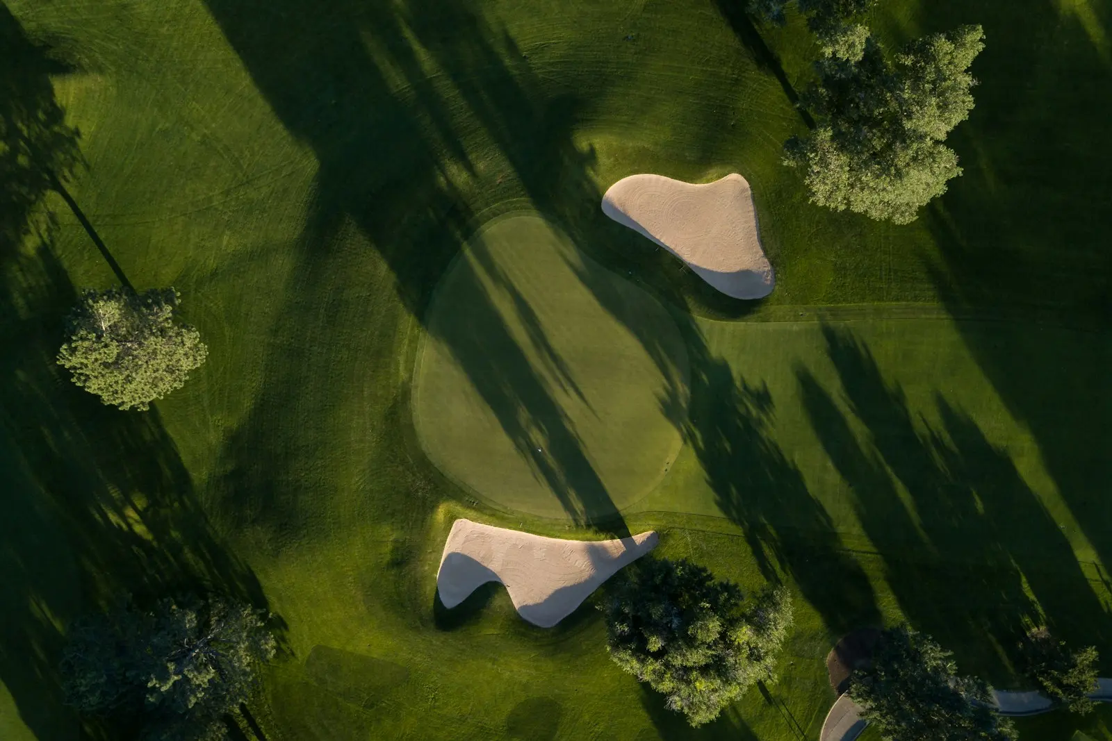 An aerial view of a golf green framed by trees and bunkers